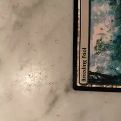 Breeding Pool (0251) MTG - Edge of Eternities - Regular - Image 4