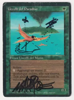 Miscut Signed Altered Sketch Italian Birds of Paradise HP Artist Mark Poole MTG! - Image 1