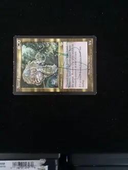 2002 MTG: Anurid Brushhopper English - Judgment (JUD) - Signed Moderate Play - Image 3