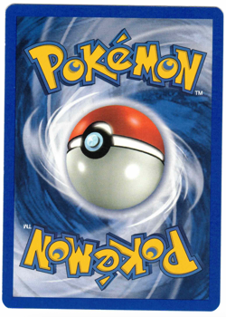 Marill 66/111 Neo Genesis 1st Edition Regular Common Vintage Pokemon Card - Image 2