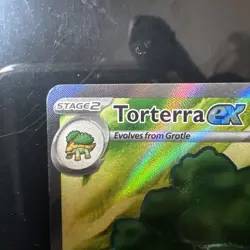 Torterra ex 185/162 SV05: Temporal Forces Ultra Rare Pokemon Card NM - Image 2
