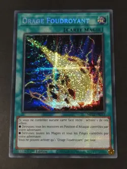 Yu-Gi-Oh ! - Orage Foudroyant - MP22-FR253 - Prismatic Secret Rare - Image 1