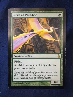 Birds Of Paradise Ravnica Magic the Gathering MP - Image 1
