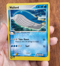 Pokemon TCG Wailord EX Ruby & Sapphire 14/109 holo rare 2003 MP - Image 5