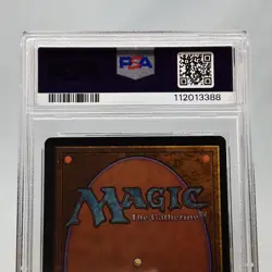 MTG - Alternate 4th Edition - Wall of Water - Graded - PSA 8.0 - Vintage - Image 5