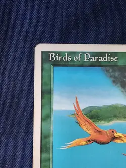 Birds of Paradise Magic the Gathering MTG 4th Edition HP - Image 2
