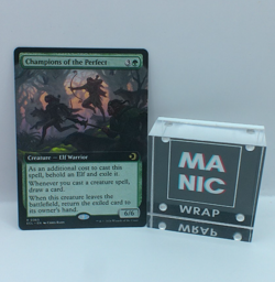 Champions of the Perfect NM #365 Regular MTG Lorwyn Eclipsed - Image 1