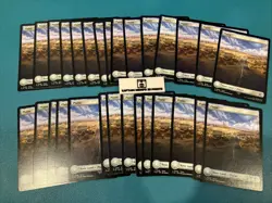 30 Full Art Basic Land Plain 0296 Regular Final Fantasy NM Lot Pack Bulk MTG - Image 1