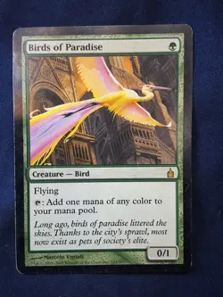 Birds Of Paradise Ravnica Magic the Gathering MP - Image 1