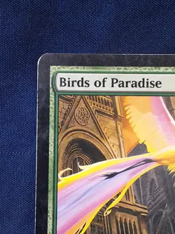 Birds Of Paradise Ravnica Magic the Gathering MP - Image 2