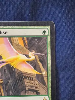 Birds Of Paradise Ravnica Magic the Gathering MP - Image 3