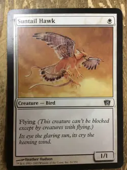 Suntail Hawk Box Topper Oversize Card Magic The Gathering Used - Image 1