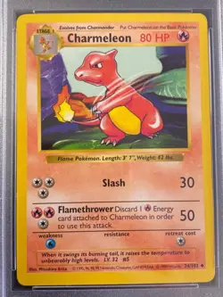 1999 POKEMON SHADOWLESS CHARMELEON #24 PSA 8 NM-MT. - Image 2