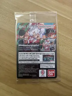 Monkey D Luffy (055) (College Basketball US Voyage) P-055 One Piece Promo Card - Image 2