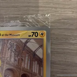 Pikachu At The Museum Natural History Museum Jumbo Pokemon Promo Card - Image 4