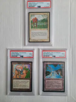 MTG 3 Reserved List Vintage Cards All PSA 9 MINT Rainbow Vale, Serra Aviary + - Image 3