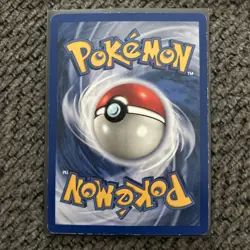 Pokemon TCG Brushfire Theme Deck Opened, Complete, Excellent - Image 5