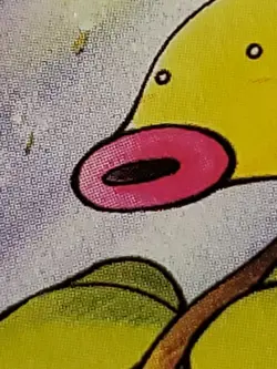 Pokemon TCG: Bellsprout 49/64 Jungle 1st Edition WOTC - LP - Image 4