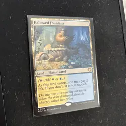 Mtg Hallowed Fountain - Lorwyn Eclipsed + Bonus Foils - Image 2