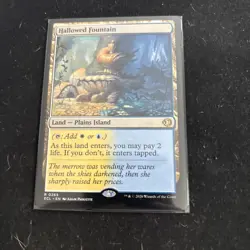 Mtg Hallowed Fountain - Lorwyn Eclipsed + Bonus Foils - Image 4