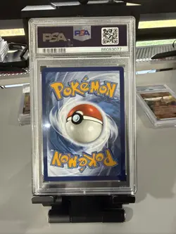2023 Pokemon Mew en Wartortle #171 Illustration Rare PSA10 - Image 2