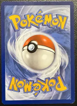 Pokemon - Alolan Exeggutor EX - 242/191 Surging Sparks - SIR - Near Mint - Image 2