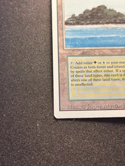 Magic The Gathering MTG - Tropical Island - 3ED - Revised - NM - Image 2