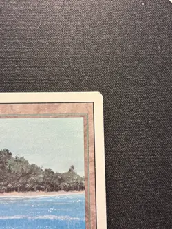 Magic The Gathering MTG - Tropical Island - 3ED - Revised - NM - Image 4