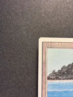 Magic The Gathering MTG - Tropical Island - 3ED - Revised - NM - Image 5