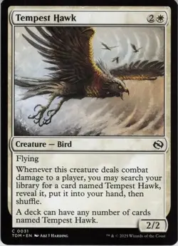 Tempest Hawk (Common) #0031 Tarkir Dragonstorm MTG Near Mint - Image 1