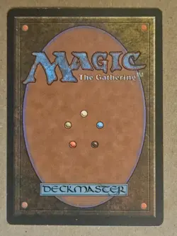 Adarkar Wastes - Ice Age - Near Mint | MTG - Image 2