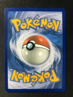 Fighting Energy Guardians Rising 169/145 Secret Rare Pokemon TCG - Image 2