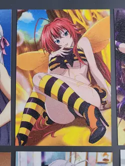 DxD Girls - High School DxD ACG Doujin Goddess Frosted Cards - 15 Cards - Image 4