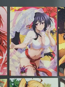 DxD Girls - High School DxD ACG Doujin Goddess Frosted Cards - 15 Cards - Image 4