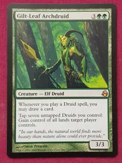 Magic The Gathering MORNINGTIDE GILT-LEAF ARCHDRUID green card MTG - Image 1