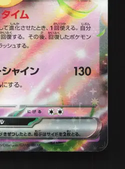 Dachsbun EX 046/102 Stellar Miracle NM Japanese Pokemon Card TCG - Image 5
