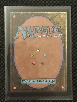 MTG Paradise Chocobo Borderless Foil - Final Fantasy FIC 0483 NM - Image 2