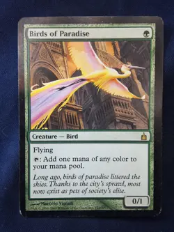 Birds Of Paradise Ravnica Magic the Gathering MP - Image 1