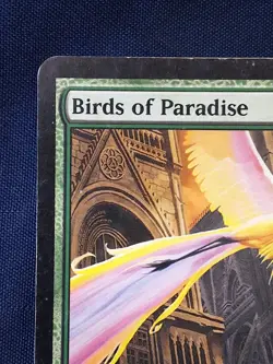 Birds Of Paradise Ravnica Magic the Gathering MP - Image 2