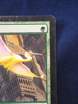 Birds Of Paradise Ravnica Magic the Gathering MP - Image 3