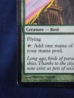 Birds Of Paradise Ravnica Magic the Gathering MP - Image 5