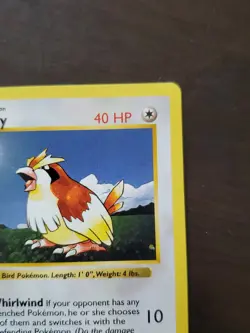 Pokemon Pidgey 1st Edition Base Set 57/102 Shadowless - Image 4