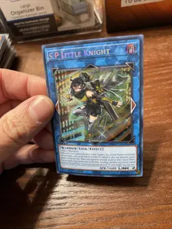 S:P Little Knight (Secret Rare) RA03-EN049 Quarter Century Bonanza 1st Edition - Image 3