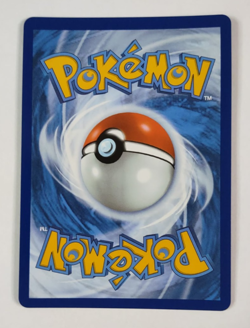 Mega Camerupt EX 156/132 Mega Evolution Full Art Holo Rare Pokemon Card NM - Image 2