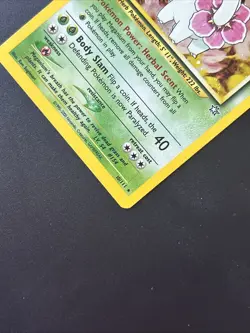 Pokemon TCG Meganium Neo Genesis Holo Rare Card 10/111 - Image 5