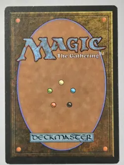 SWORDS TO PLOWSHARES ITALIAN FBB Jeff A Menges ARTIST SIGNED Auto MTG Magic - Image 2