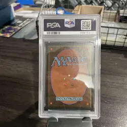 1994 MAGIC: THE GATHERING REVISED TUNDRA PSA 8 - Image 2