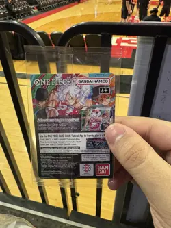 One Piece Monkey.D.Luffy US Voyage Promo Holo Card P-055 - Rutgers Basketball - Image 2