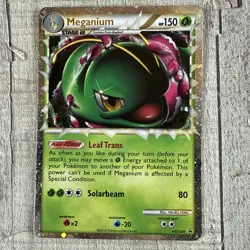 PL Pokemon Holo (Prime) MEGANIUM Card HGSS BLACK STAR PROMO Set HGSS08 HeartGold - Image 2