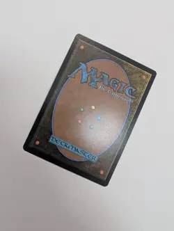 MTG - Kinbinding - Lorwyn Eclipsed NM/M Condition - Image 3